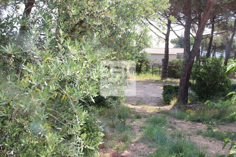 Terrain constructible - 1 203 m²