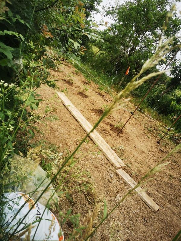 Terrain de loisirs - 9 295 m²