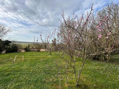 Maison - 101 m² - 5 pièces