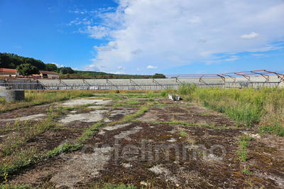 Maison - 590 m² - 1 pièce