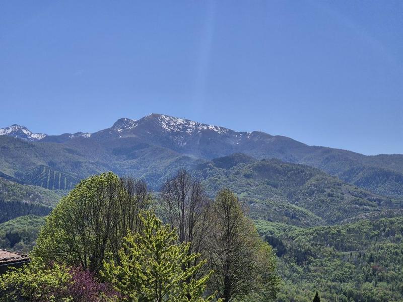 Maison - 380 m² - 8 pièces