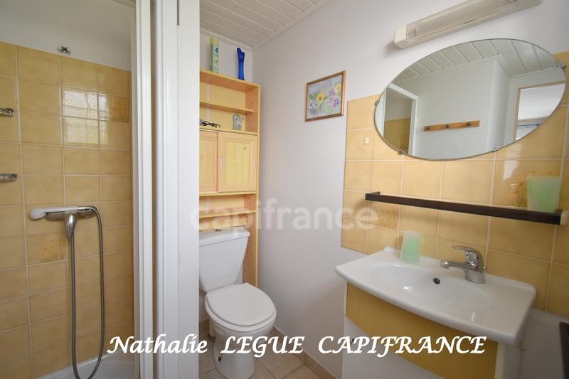 Studio - 25 m² - 1 pièce