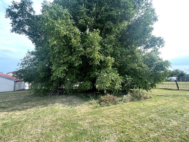 Pavillon - 112 m² - 7 pièces