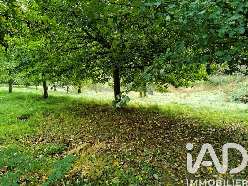 Terrain agricole - 15 000 m²