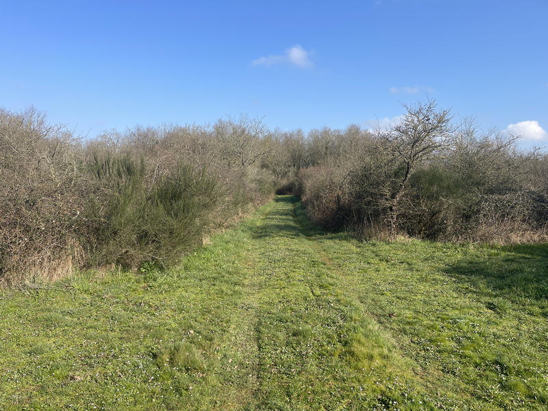 Terrain - 34 900 m²