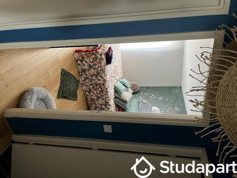 Chambre - 38 m² - 1 pièce