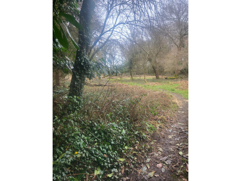 Maison - 169 m² - 6 pièces