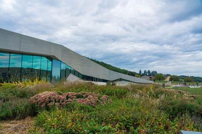 Rencontre-dédicace avec Sophie Marvaud