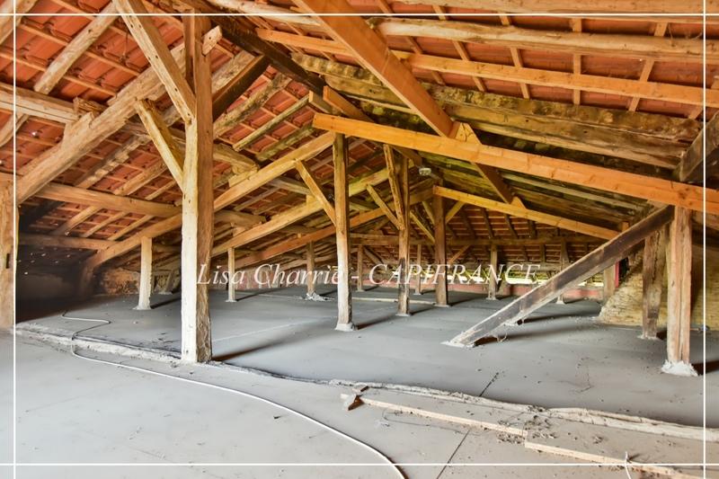 Propriété - 324 m² - 10 pièces