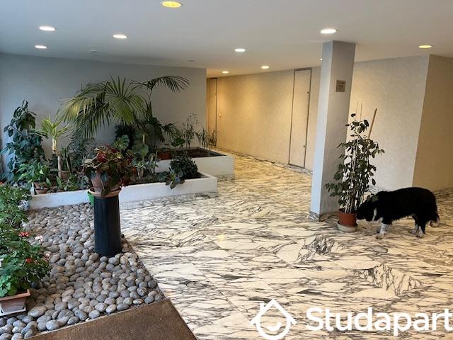 Maison - 10 m² - 1 pièce