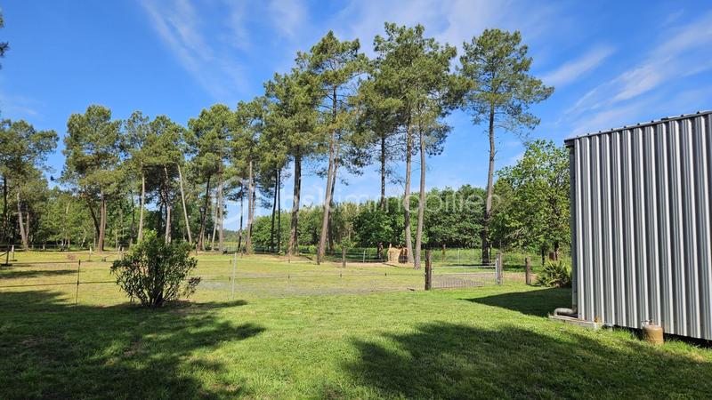 Terrain agricole - 10 000 m²