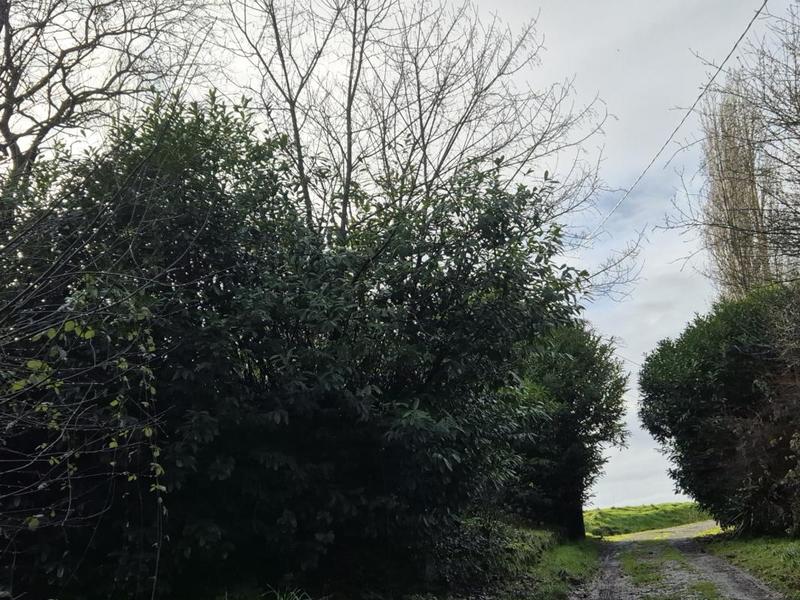 Corps de ferme - 87 m² - 4 pièces