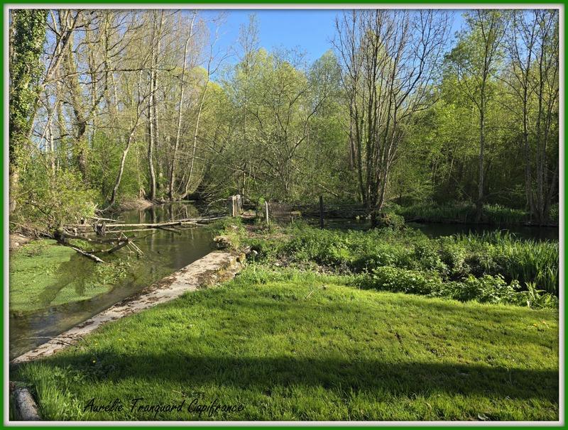 Maison bourgeoise - 183 m² - 6 pièces