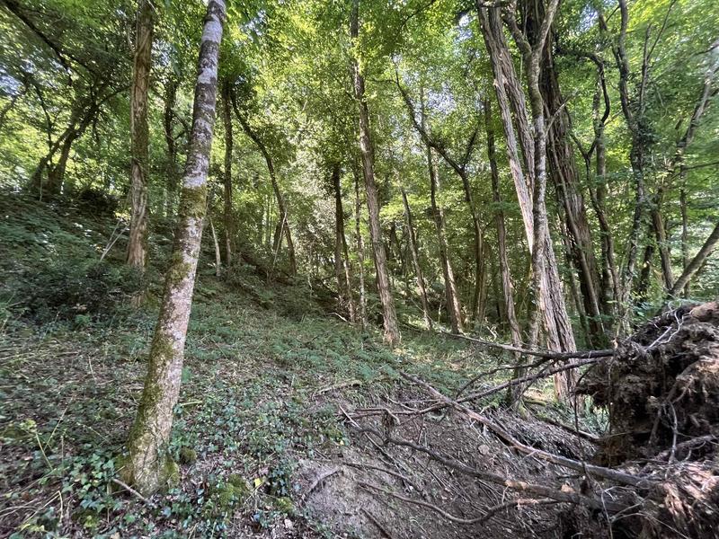 Maison - 185 m² - 4 pièces