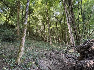 Maison - 185 m² - 4 pièces