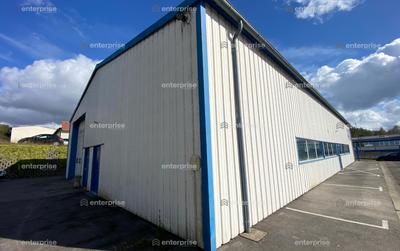 Local d'activité / Entrepôt - 480 m²