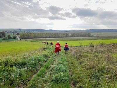 Marche mensuelle des Robinsons