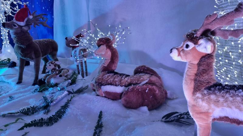 Exposition la forêt enchantée