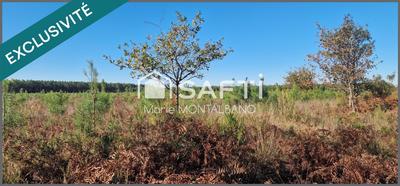 Terrain - 15 553 m²