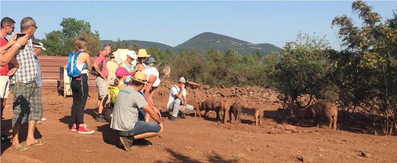 Terroir, Géologie et Paysage du Salagou