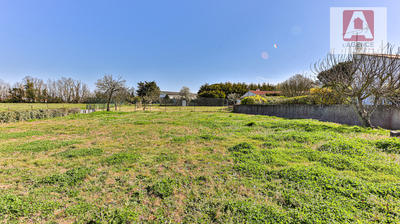 Terrain - 498 m²