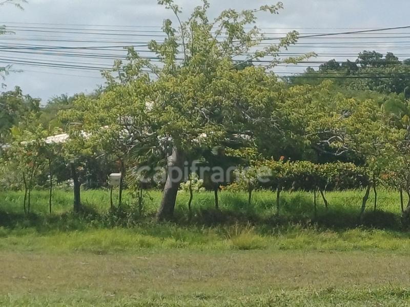 Terrain constructible - 1 000 m²