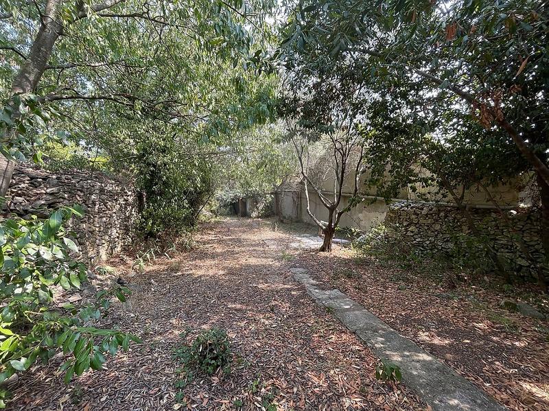 Bureau - 250 m² - 6 pièces