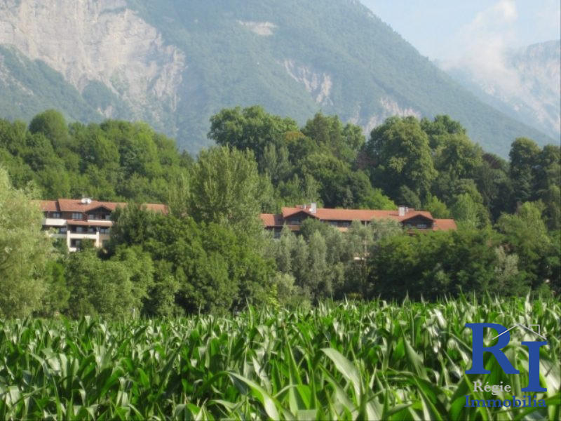 Appartement - 78 m² - 3 pièces