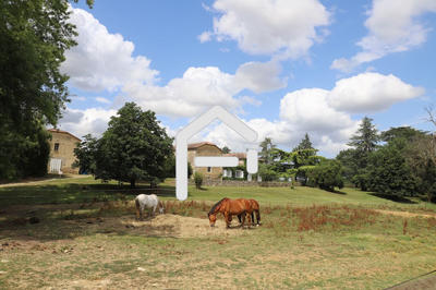 Maison - 250 m² - 7 pièces