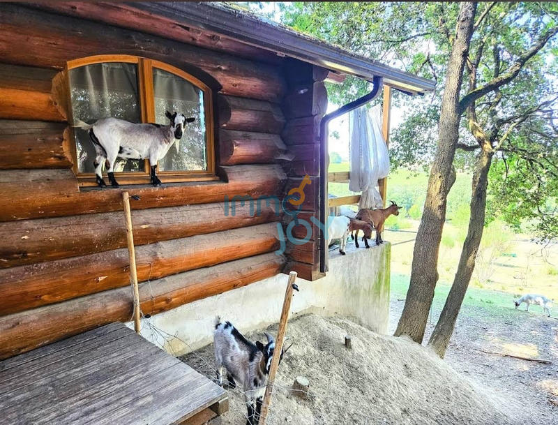 Propriété - 250 m² - 11 pièces