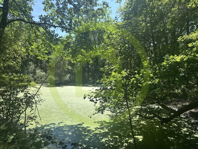 Propriété - 143 m² - 6 pièces