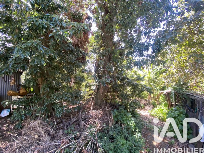 Maison - 100 m² - 3 pièces