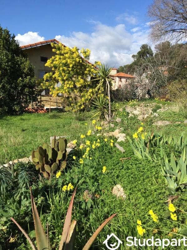 Appartement - 49 m² - 1 pièce