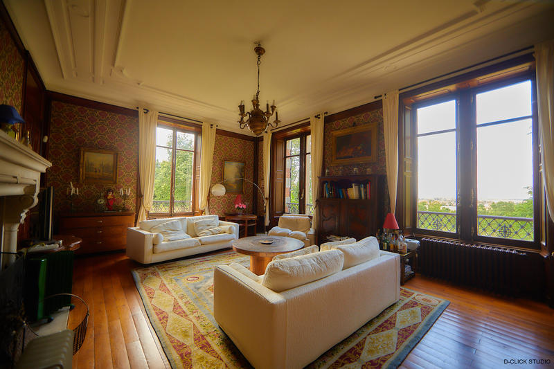 Château - 1 700 m² - 33 pièces