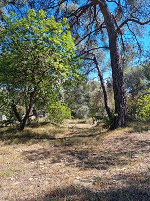 Terrain constructible - 1 058 m²