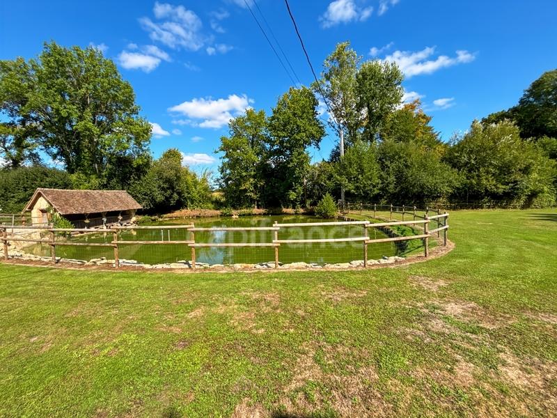 Propriété - 360 m² - 10 pièces