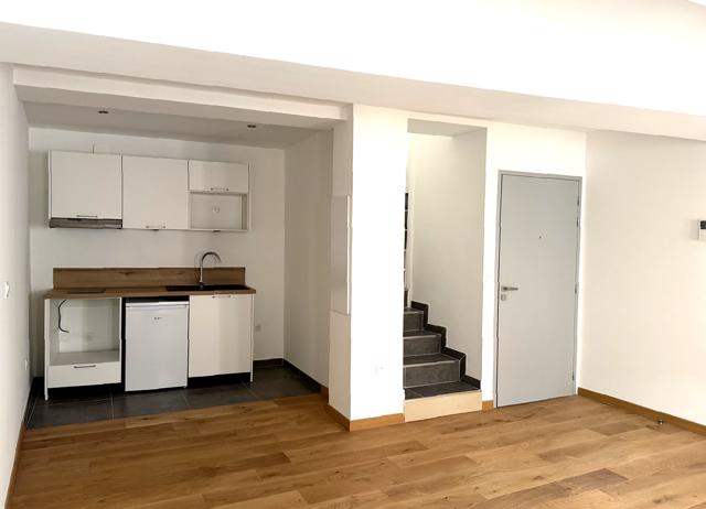 Duplex - 50 m² - 2 pièces