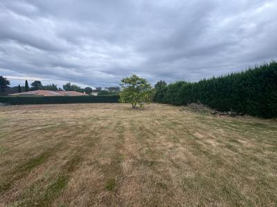 Terrain constructible - 1 137 m²