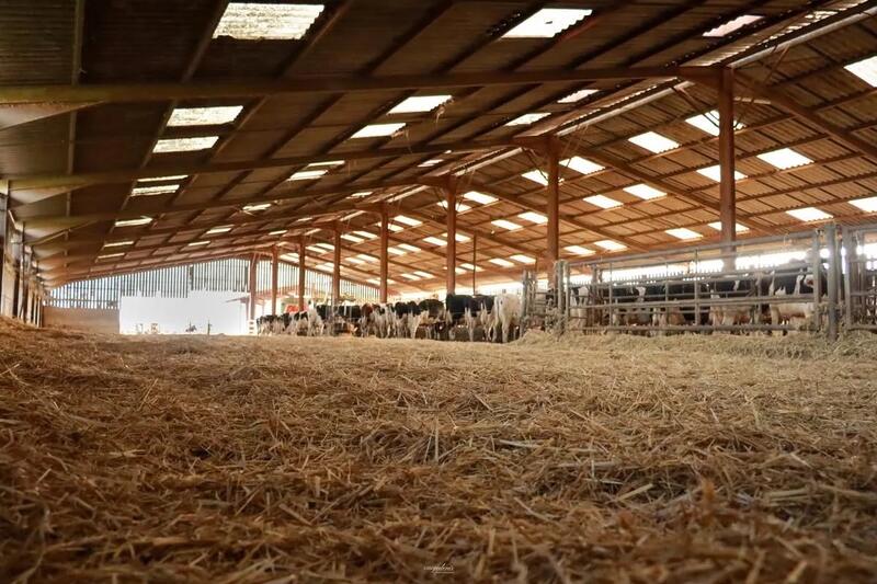 Ferme - 2 200 m²