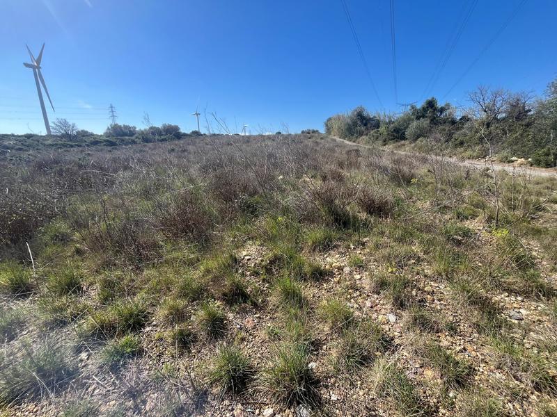 Terrain agricole - 9 900 m²