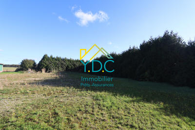 Terrain - 2 894 m²