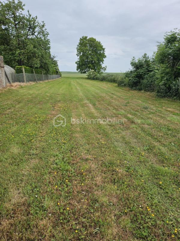 Terrain constructible - 1 035 m²