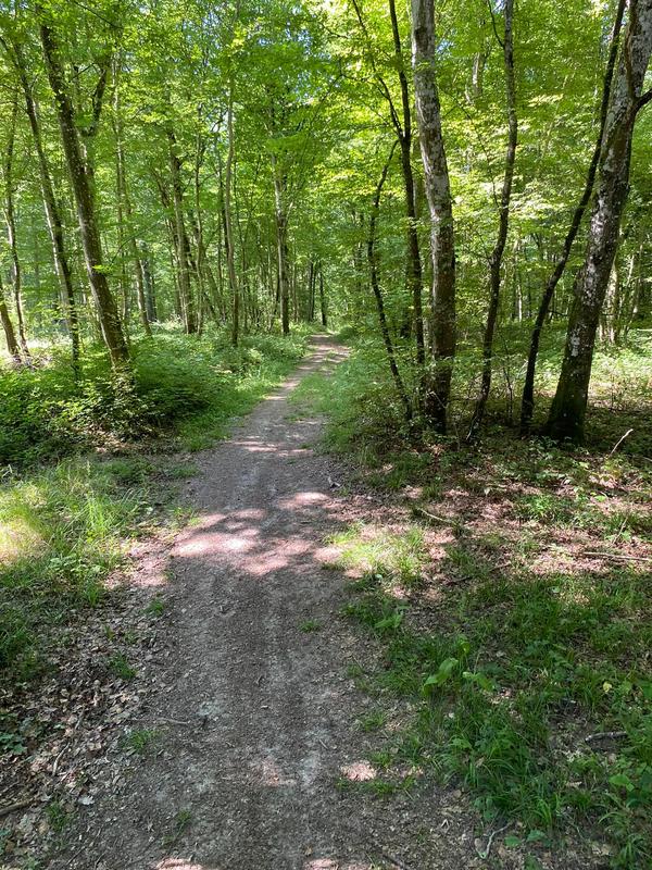 Les Ecuries de Thuisy