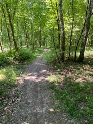 Les Ecuries de Thuisy