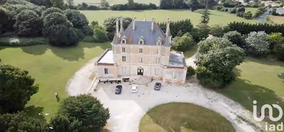 Château - 850 m² - 11 pièces