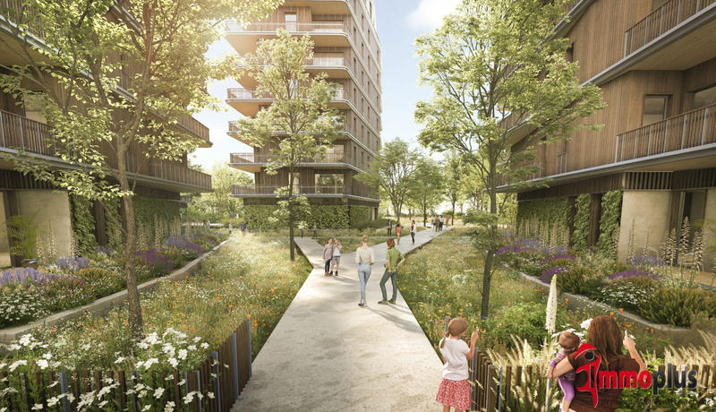 Appartement - 51 m² - 2 pièces