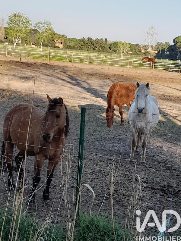 Maison - 70 m² - 3 pièces