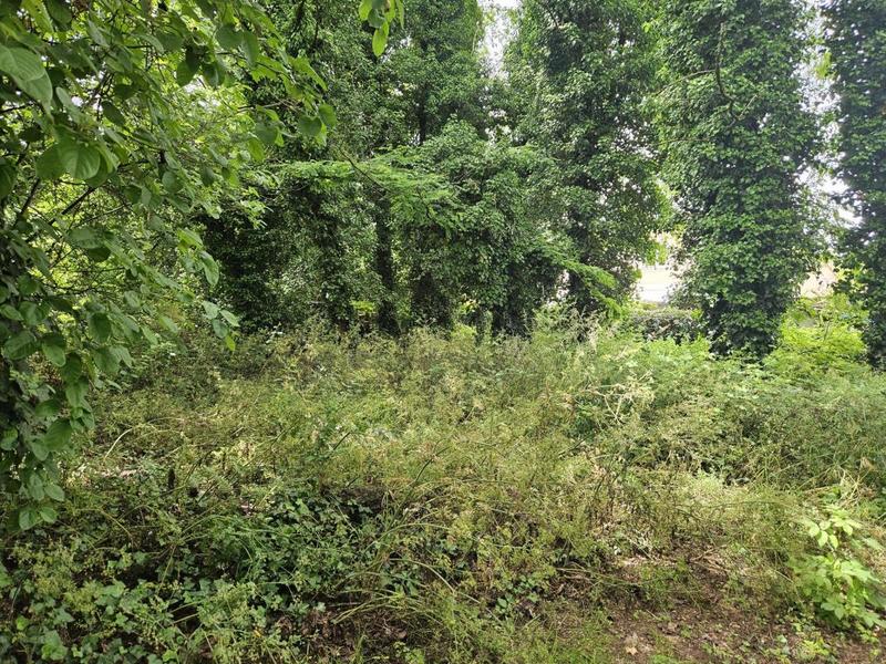 Terrain constructible - 493 m²