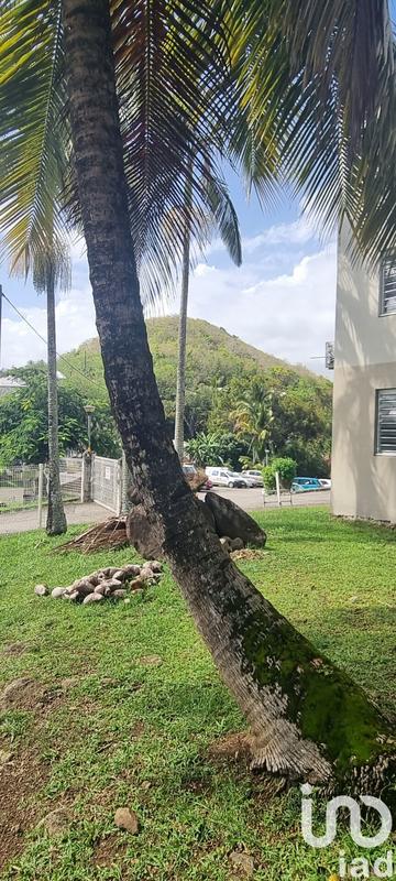 Appartement - 59 m² - 2 pièces