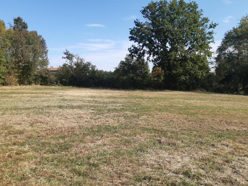 Terrain - 8 711 m²